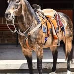 Abelardo Solano - @abelardo.solano.2025 - Instagram