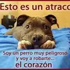 abelardosotomaya - @abelardo.soto.may - TikTok