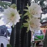 Abelardo Vasquez - @vasquez_abelardo - Instagram