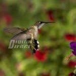 Abhishek Goyal - @abhi.goel.980 - Instagram
