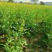 Abhi Tripathi - Facebook