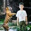 abhitripathi - @24abhitripathi - TikTok