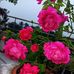 Abhijit Chanda - Facebook
