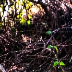 Abhijit Dandekar - @abhijit_dandekar16 - Instagram
