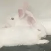 Abhijit Jain - @abhijitjain24 - TikTok