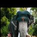 Abhinav Jayakumar - Facebook