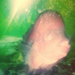 abhinav raina - @abhinav_raina - Instagram
