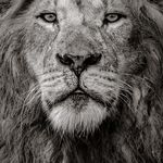 Abhinav Raina - @abhinav.raina.49 - Instagram
