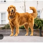 Abhinav sahoo - @abhinava_kumar_sahoo_6839 - Instagram