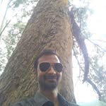 Abhinava Kumar - @abhinava.kumar.501 - Instagram
