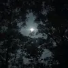 ABICHANDRA42(♡‿♡) - @abichandra42 - TikTok