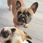 Abi Connor - @abigail.connor11 - Instagram