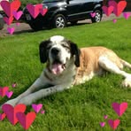 Abi Connor - Facebook