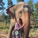 Abi Cox - @_abi_travels - Instagram