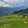 Abigayle Cox - @user18685996153953 - TikTok