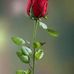 Abir Cox - Facebook