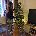 Abi Foster - @abifoster_backup - Instagram