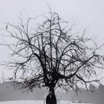 Abik - @abikhangloo - Instagram