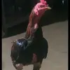 bj - @abi.khan614 - TikTok