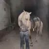 ⚡️♠️🐎 - @abimiller29 - TikTok
