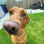 abi - @abipatrickspam - Instagram