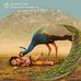 Abi Senthil - Facebook