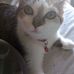 Abigail Stephens - Facebook