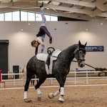 abi ward - @abiward.vaulting - Instagram