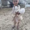 Abid Abdullah - @abid.abdullah39 - TikTok