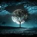 Abid akbar - Facebook