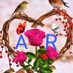 Abid Alli - @abidali0x4 - Instagram