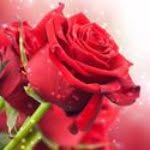 Abid Altaf - @altafabid674 - Instagram