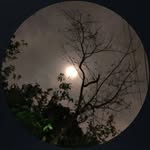 ABID - @abid__anwar - Instagram