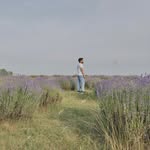 Abid Ayub - @abid_ayub_ - Instagram