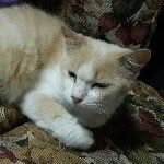 @abid_din - Instagram