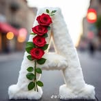 Abid Farooqi - Facebook