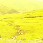 Abid Hussian - @kash.miri7878 - Instagram
