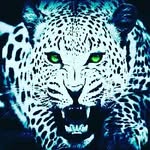 Abid Hussian Ashi Abid - @abid_hussian_ashi - Instagram