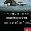 Abid Imam - @abid.imam79 - TikTok