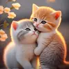 Abid Iqbal - @abid.iqbal676 - TikTok