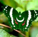 Abid Khalil - Facebook