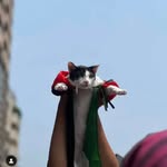Abid Mahmud - @_abid.mahmud_ - Instagram