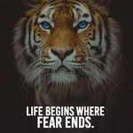 Abid Mir - @abidmir396 - Instagram
