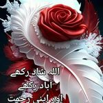 abid parvez - @abidparvez3 - Instagram