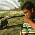 Abid Parvez - @abid.parvez - Instagram