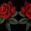 Abid Patel - @abidpatel71 - TikTok