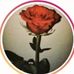 Abid Patel Patel - Facebook