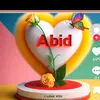 Abid  💫💕Raja💫💫 - @hoorgul96 - TikTok