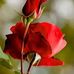 Abid Rasul - Facebook