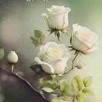 Mian Abid Riaz - @abidriazmian - Instagram